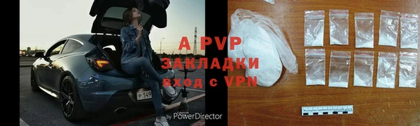 прущие грибы Нефтекумск