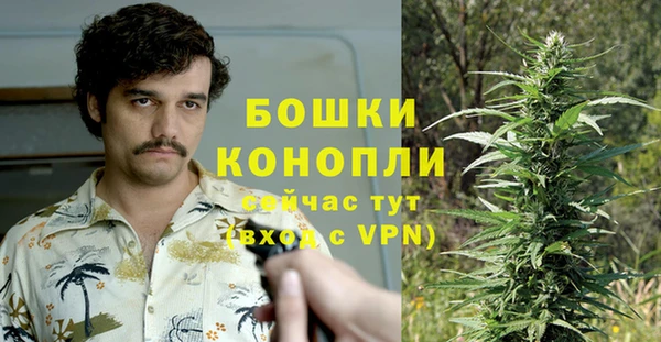 сатива Нефтегорск