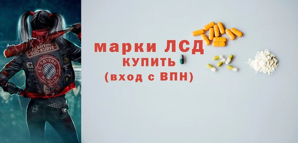 прущие грибы Нефтекумск