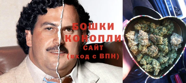 сатива Нефтегорск