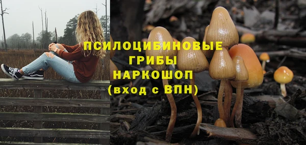 прущие грибы Нефтекумск